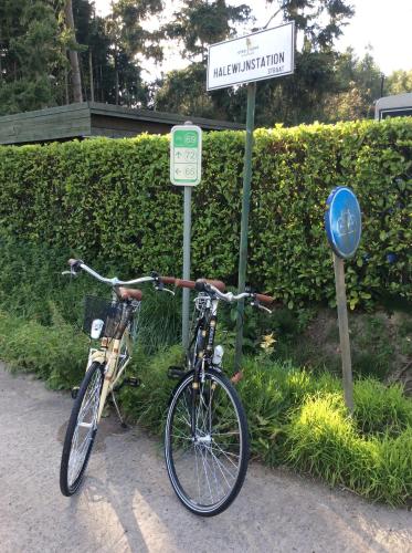  B&B Halewijn in Drongen