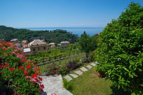 Le Clementine B&B - Accommodation - Camogli