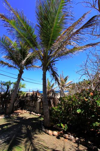 Seascape Beach House Surferspoint Barbados