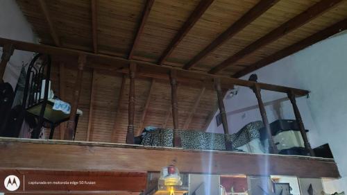 Visita al papa león XIV