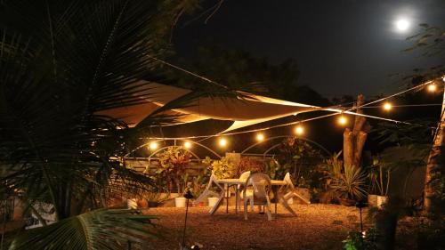 Food and beverages, CasaMia RD B&B in Rio San Juan