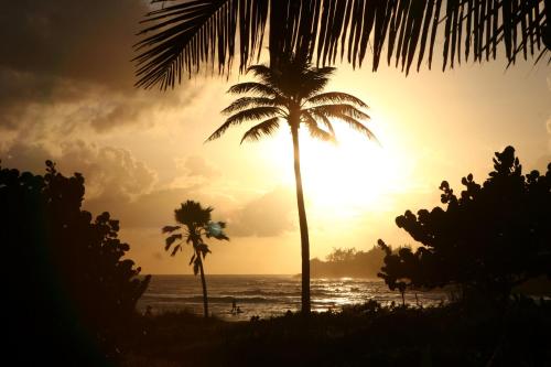 Seascape Beach House Surferspoint Barbados