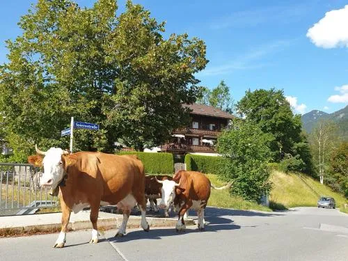 Evelyn – Haus Karwendel, Ferienwohnung in Mittenwald, Deutschland