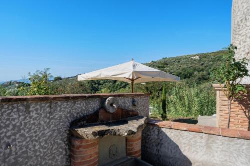 Podere del Convento in Massa E Cozzile