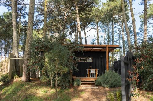Tiny House Pinamar