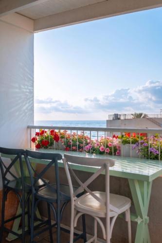 Seashell Hotel 4
