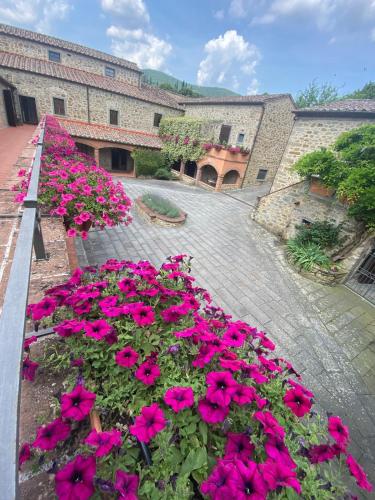 Ancient mill in Cortona