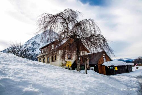 Apartment with Mountain View