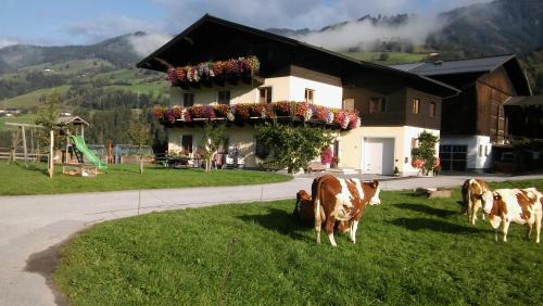 Rieserhof/Fam. Meißnitzer in Taxenbach, Österreich