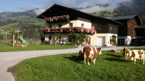 Rieserhof/Fam. Meißnitzer in Taxenbach, Österreich