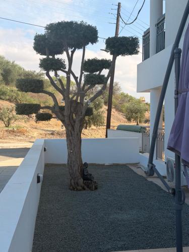 Vaade, Nook Apartment in Latsia