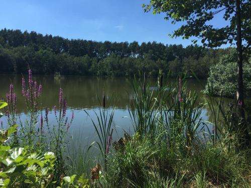 Ferienwohnung Felix am See