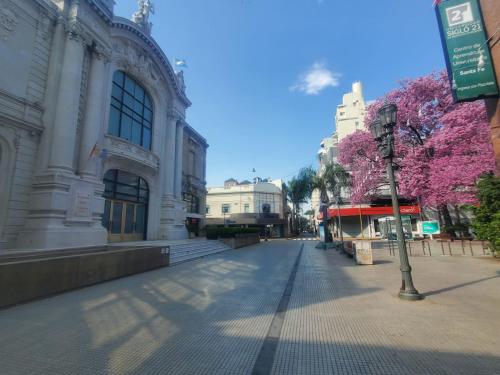 Paseo del Teatro - Peatonal San Martin - Seguridad Privada 24hs