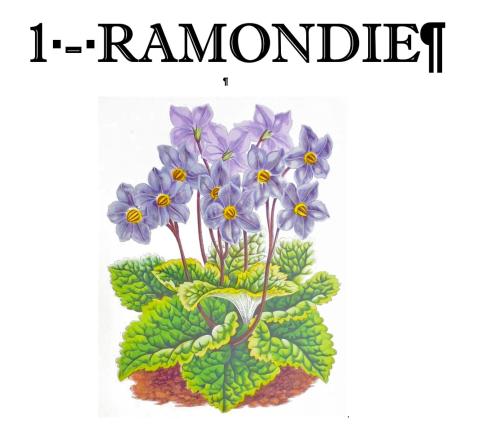 Résidence des Jardins, wifi, centre Luchon 3