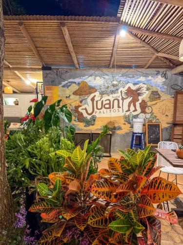 Hostal Juan Palitos