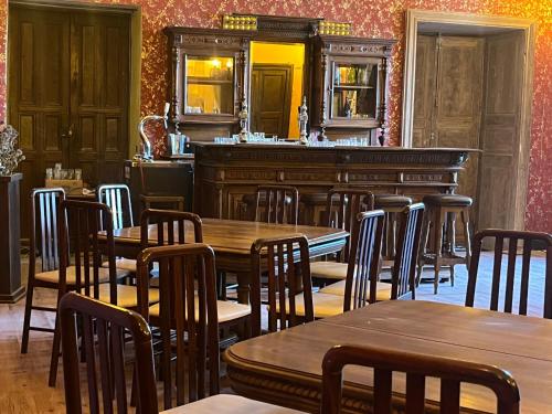 Pub/Lounge, Chateau d'Albon - Henri II in Saint-Andre-d'Apchon (Rhone-Alpes)