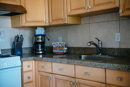 One-Bedroom Apartment image 6