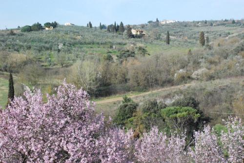  Gli Oleandri di Belfiore in Lastra a Signa