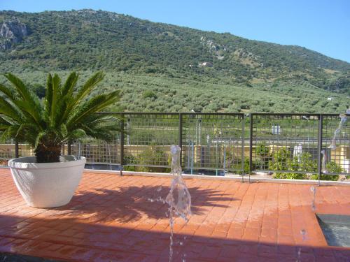 Mencía Subbética - image 6