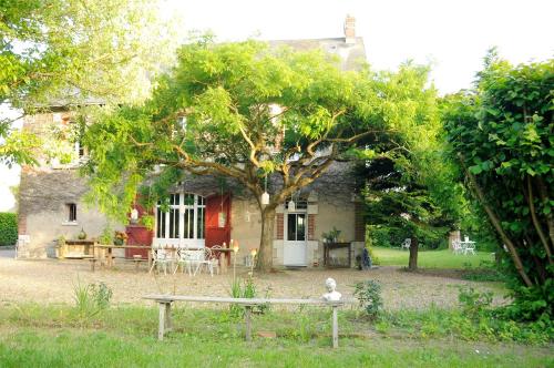 L'Onzaine photo 19