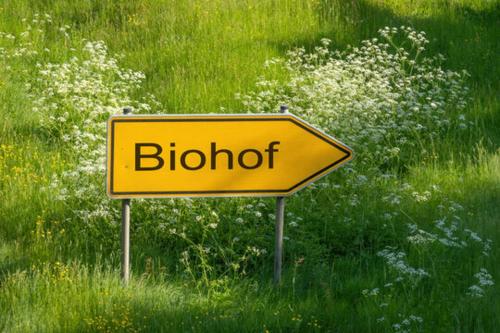 Biohof - die gemütliche Älplersuit mit Terrasse