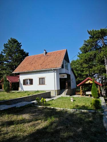 Zeleni Mir