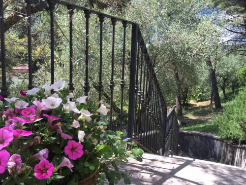 Sogno Verde B&B