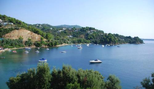  Tzaneria Apartments Skiathos in Kanapitsa