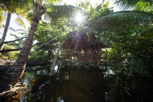 Simbiosis Treehouse Lower Suite