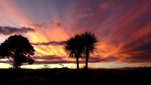 Tree House Lodge Bed & Breakfast Tree House Lodge Bed & Breakfast