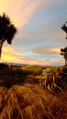 Tree House Lodge Bed & Breakfast Tree House Lodge Bed & Breakfast