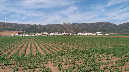 Kilátás, Posada Ana Ponce in Sierra de Yeguas