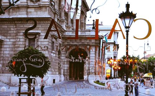 Callas House - image 8