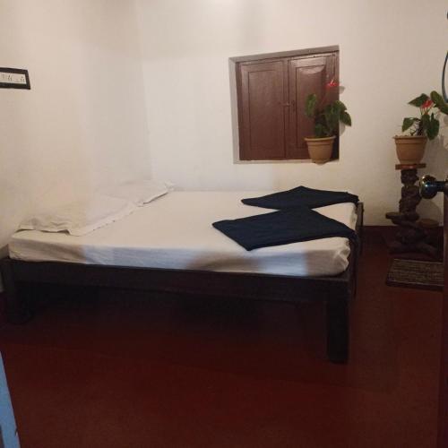 Coffee cool Homestay in Chikmagalur