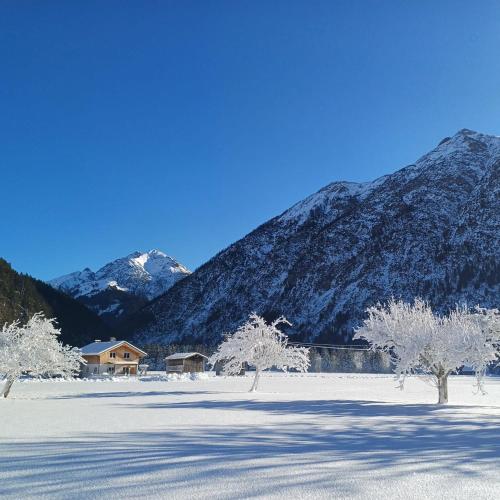 Alpenruhe in Holzgau