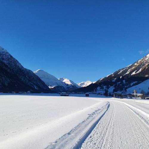 Alpenruhe in Holzgau