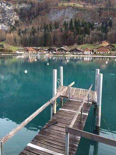 Switzerland Iseltwald Apartment - image 7