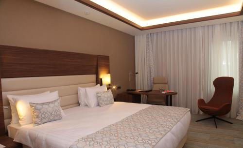Bricks Hotel İstanbul, Istanbul (fotografie 5)