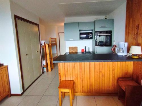 Studio Chaleureux 4 Pers avec Terrasse - Saint-Michel-de-Chaillol - FR-1-393-52 in Saint-Michel-de-Chaillol