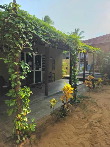 Uluwatu Surf Hostel - Arugambay in Arugam Bay