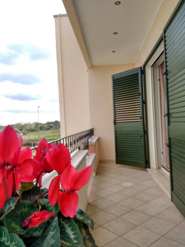 B&B Il Papavero Rosso