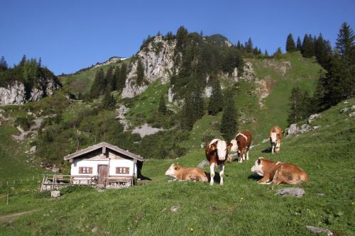 Haus Achental In Germany