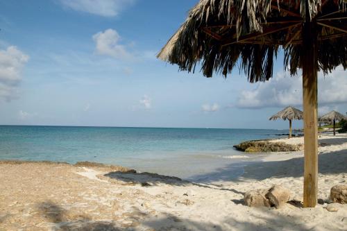 Villa Bougainvillea Aruba Rumba Suite