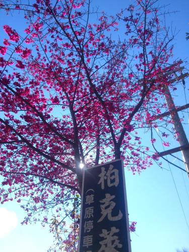 バークレー フラワー ガーデン ヴィラ15