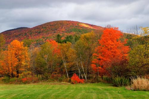 Mountain Treasure Bed and Breakfast