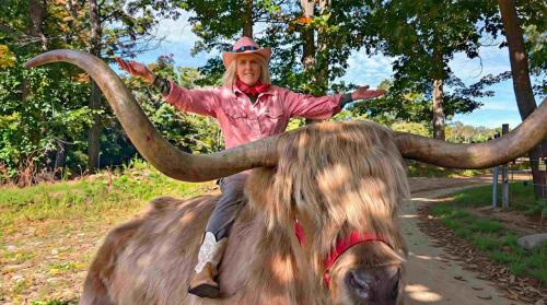 . Cozy Highland Cattle-View Suite Peaceful, Private Pet-Friendly