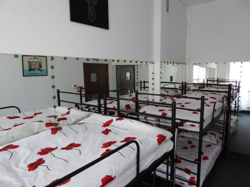 FlyFly Hostel , darmowy parking , rezerwuj przez urządzenia mobilne -10 procent – Wroclaw, VA