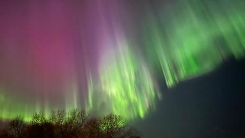 Supanti aplinka, Your Secret Aurora Viewpoint in Central Leknes - Live like a local in Leknesas
