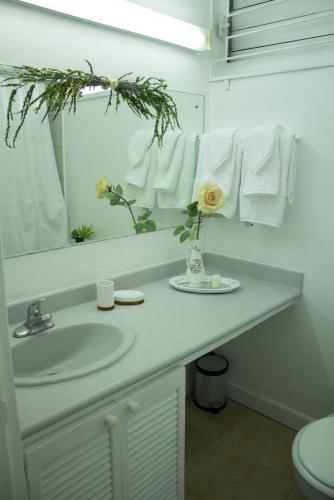 Kingston Luxury Condo Apartment