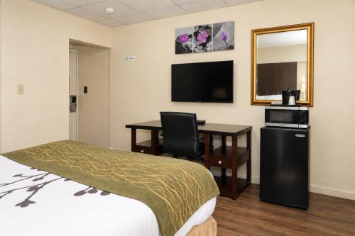 1 queen bed